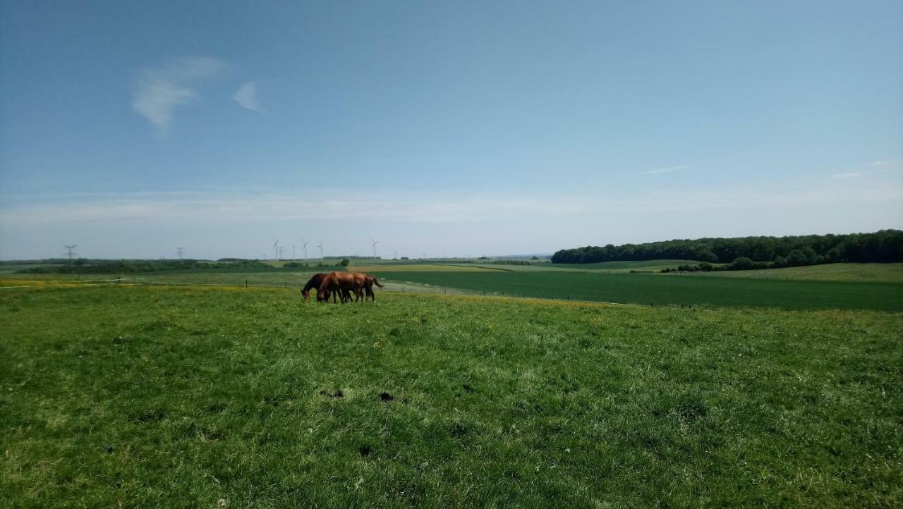 فندق Jad Ranch Raucourt-et-Flaba المظهر الخارجي الصورة