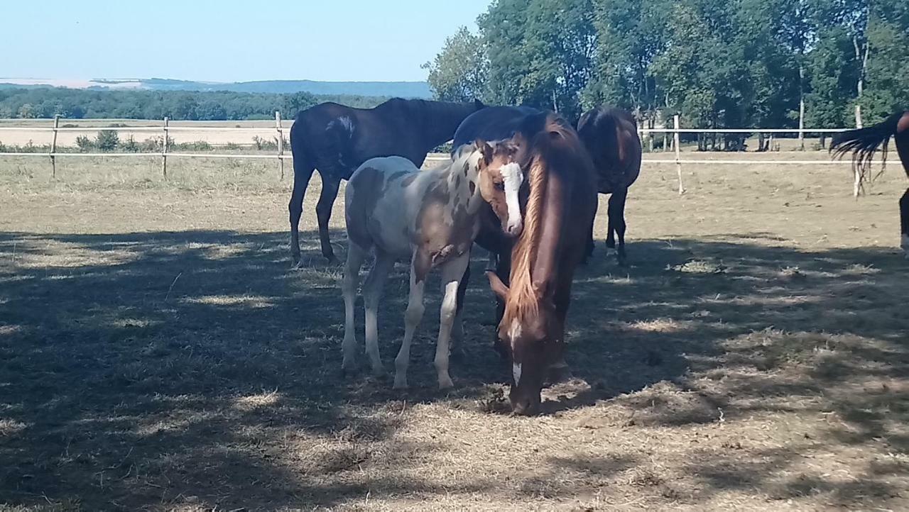 فندق Jad Ranch Raucourt-et-Flaba المظهر الخارجي الصورة